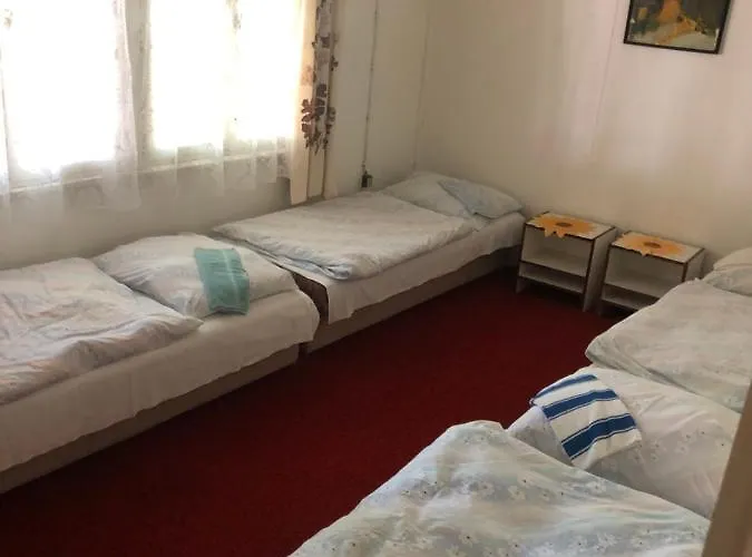 Anna - Borsodi * 파틴체